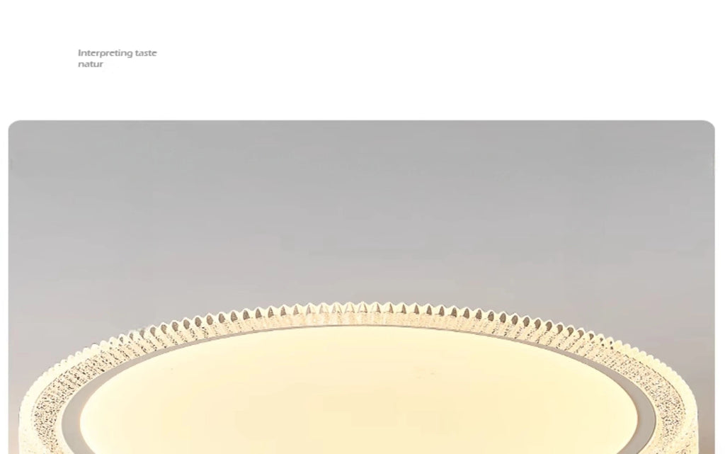 Modern Minimalist Led Ceiling Lights For Home Decoration Living Room Bedroom Dining Room Kitchen Balcony Lighting Fixtures