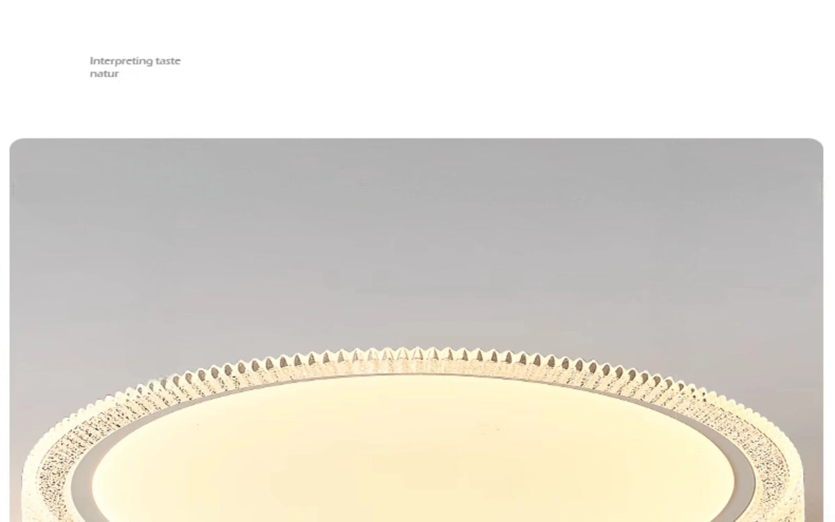 Modern Minimalist Led Ceiling Lights For Home Decoration Living Room Bedroom Dining Room Kitchen Balcony Lighting Fixtures