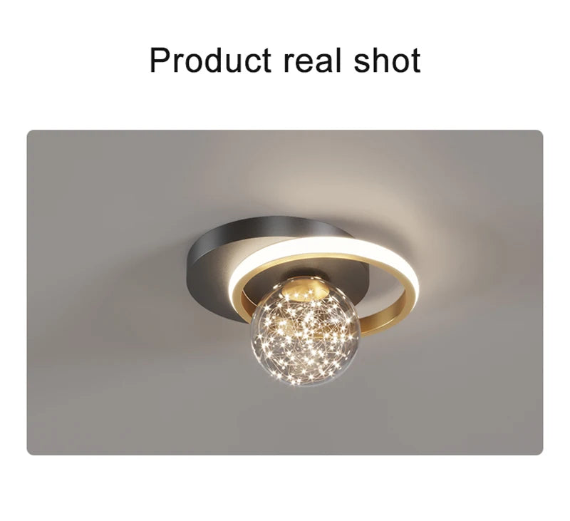 LED Ceiling Lights Interior Lighting Home Decor For Living Room Dining Table Bedroom Closets Corridor Modern Ceiling Lamp