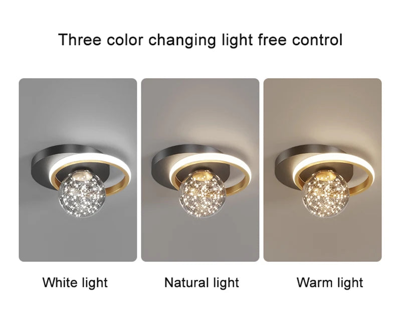 LED Ceiling Lights Interior Lighting Home Decor For Living Room Dining Table Bedroom Closets Corridor Modern Ceiling Lamp