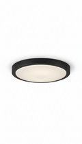 Matte Black Flushmount Ceiling Fixture
